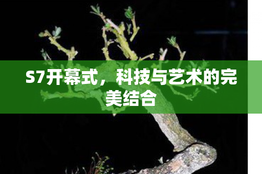 S7开幕式，科技与艺术的完美结合