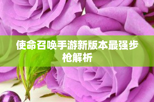 使命召唤手游新版本最强步枪解析