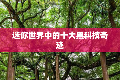 迷你世界中的十大黑科技奇迹