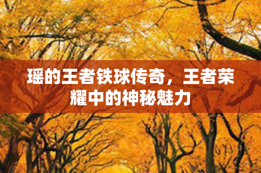 瑶的王者铁球传奇，王者荣耀中的神秘魅力