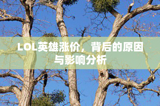 LOL英雄涨价，背后的原因与影响分析