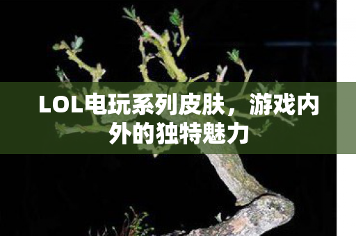 LOL电玩系列皮肤，游戏内外的独特魅力