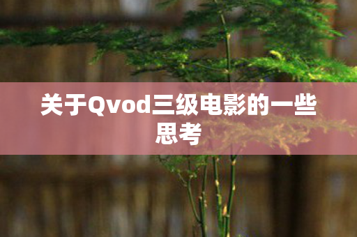 关于Qvod三级电影的一些思考