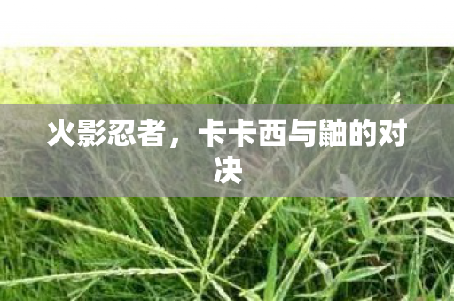 火影忍者，卡卡西与鼬的对决