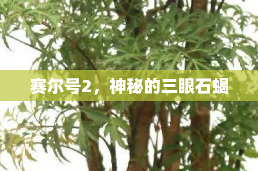 赛尔号2，神秘的三眼石蝎