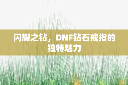 闪耀之钻，DNF钻石戒指的独特魅力