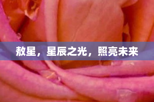 敖星，星辰之光，照亮未来