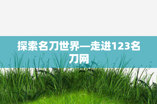 探索名刀世界—走进123名刀网