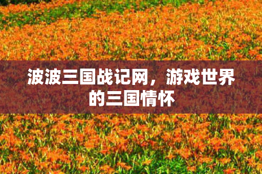 波波三国战记网，游戏世界的三国情怀