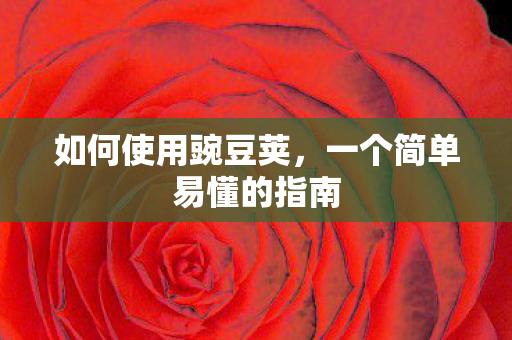 如何使用豌豆荚，一个简单易懂的指南