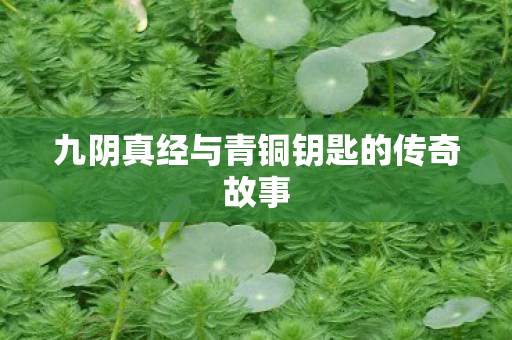 九阴真经与青铜钥匙的传奇故事