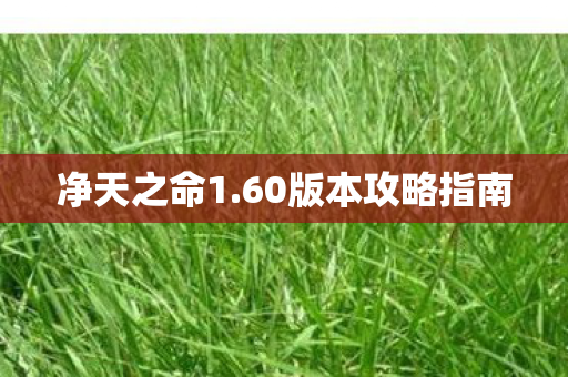 净天之命1.60版本攻略指南