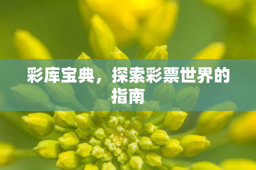 彩库宝典,探索彩票世界的指南 彩库宝典,探索彩票世界的指南