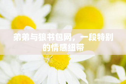 弟弟与狼书包网，一段特别的情感纽带