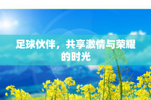 足球伙伴，共享激情与荣耀的时光