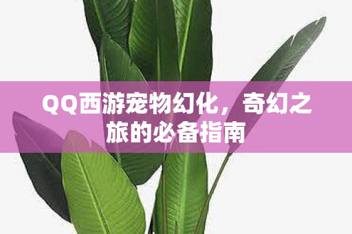 QQ西游宠物幻化，奇幻之旅的必备指南