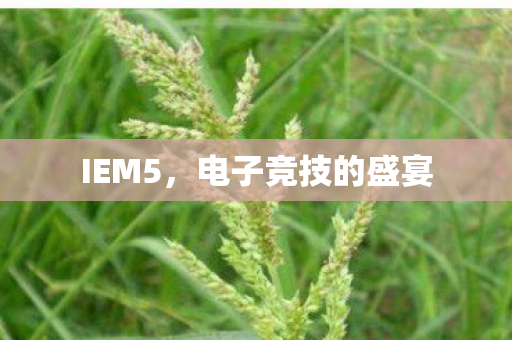 IEM5，电子竞技的盛宴