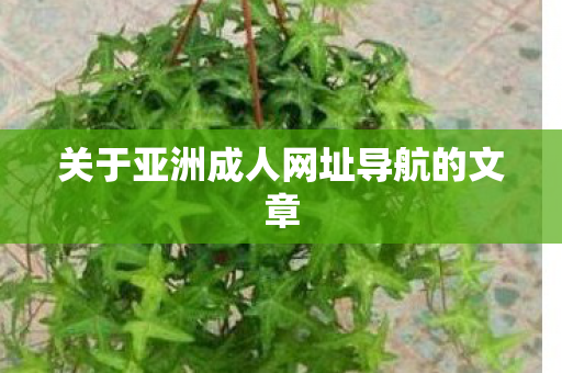 关于亚洲成人网址导航的文章