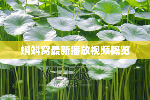 蝌蚪窝最新播放视频概览