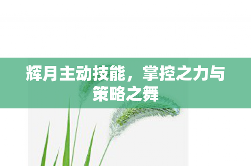 辉月主动技能，掌控之力与策略之舞