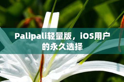 Palipali轻量版，iOS用户的永久选择