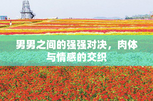 男男之间的强强对决，肉体与情感的交织