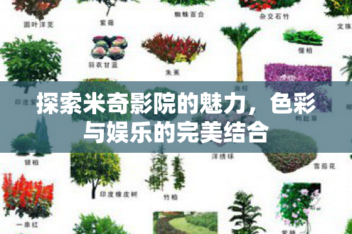 探索米奇影院的魅力，色彩与娱乐的完美结合