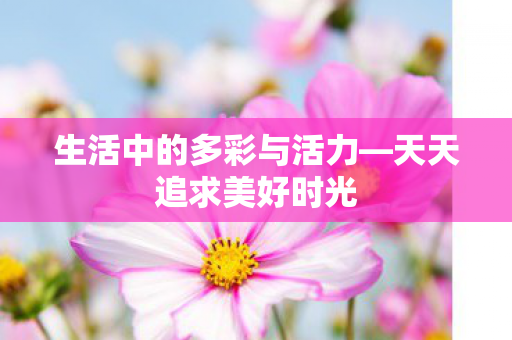 生活中的多彩与活力—天天追求美好时光