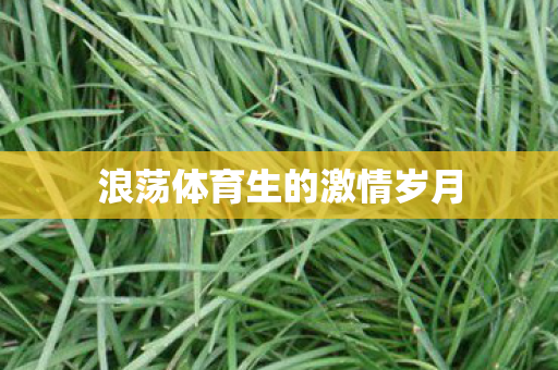 浪荡体育生的激情岁月