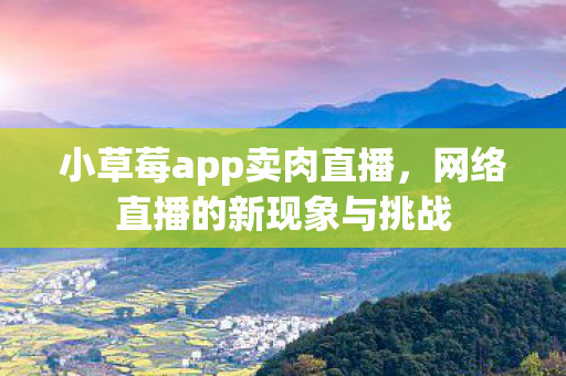 小草莓app卖肉直播，网络直播的新现象与挑战