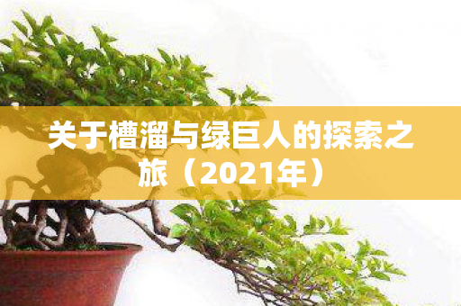 关于槽溜与绿巨人的探索之旅（2021年）