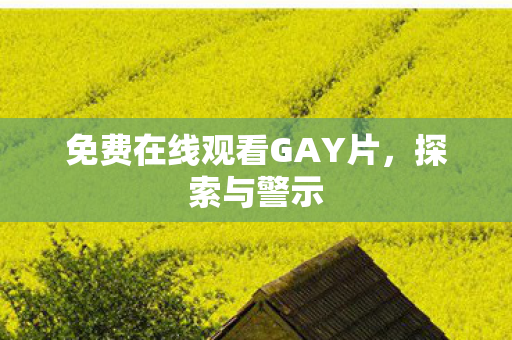 免费在线观看GAY片，探索与警示