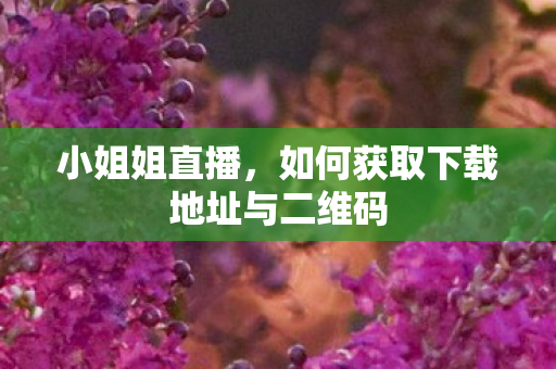 小姐姐直播，如何获取下载地址与二维码