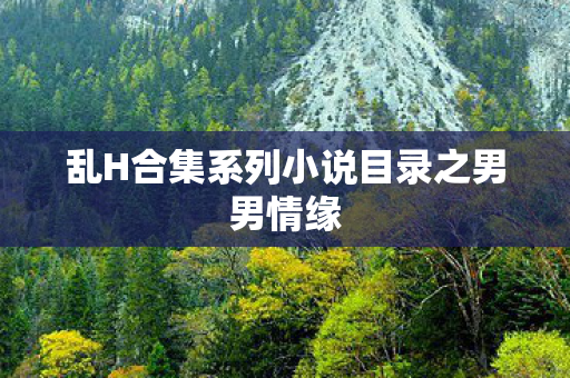 乱H合集系列小说目录之男男情缘