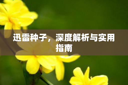 迅雷种子，深度解析与实用指南