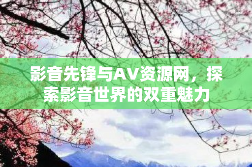 影音先锋与AV资源网，探索影音世界的双重魅力