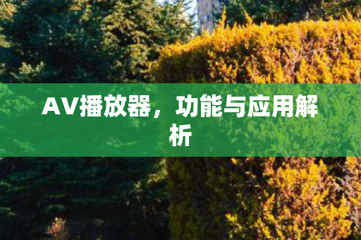 AV播放器，功能与应用解析