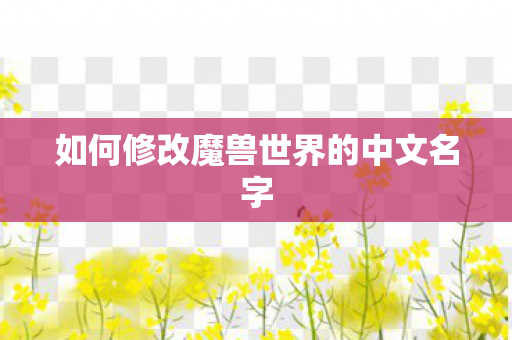 如何修改魔兽世界的中文名字