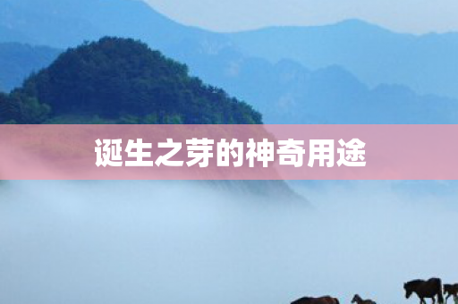 诞生之芽的神奇用途