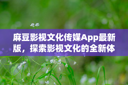 麻豆影视文化传媒App最新版，探索影视文化的全新体验
