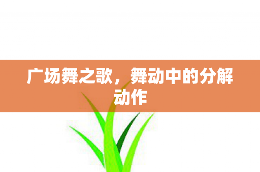 广场舞之歌，舞动中的分解动作