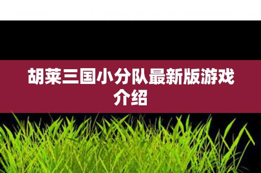 胡莱三国小分队最新版游戏介绍