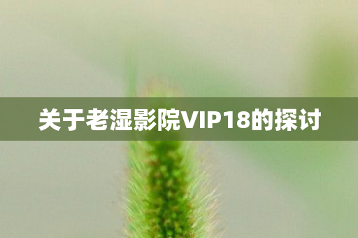 关于老湿影院VIP18的探讨
