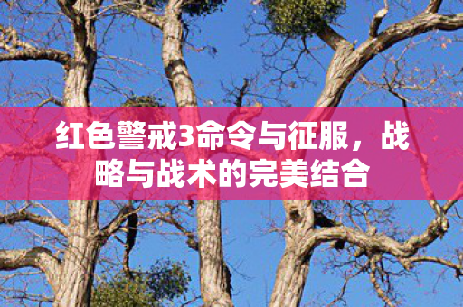 红色警戒3命令与征服，战略与战术的完美结合
