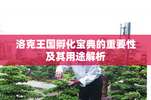 洛克王国孵化宝典的重要性及其用途解析