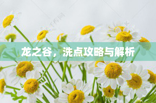龙之谷,洗点攻略与解析 龙之谷,洗点攻略与解析