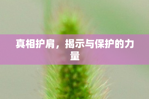 真相护肩，揭示与保护的力量
