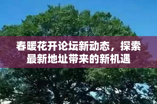 春暖花开论坛新动态，探索最新地址带来的新机遇