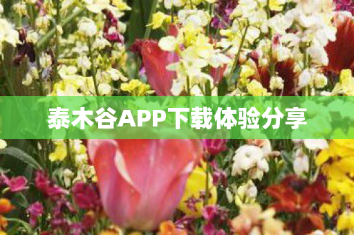 泰木谷APP下载体验分享