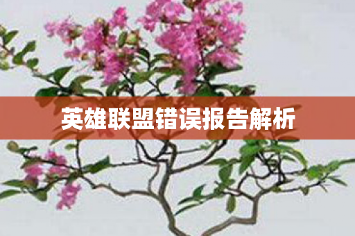 英雄联盟错误报告解析